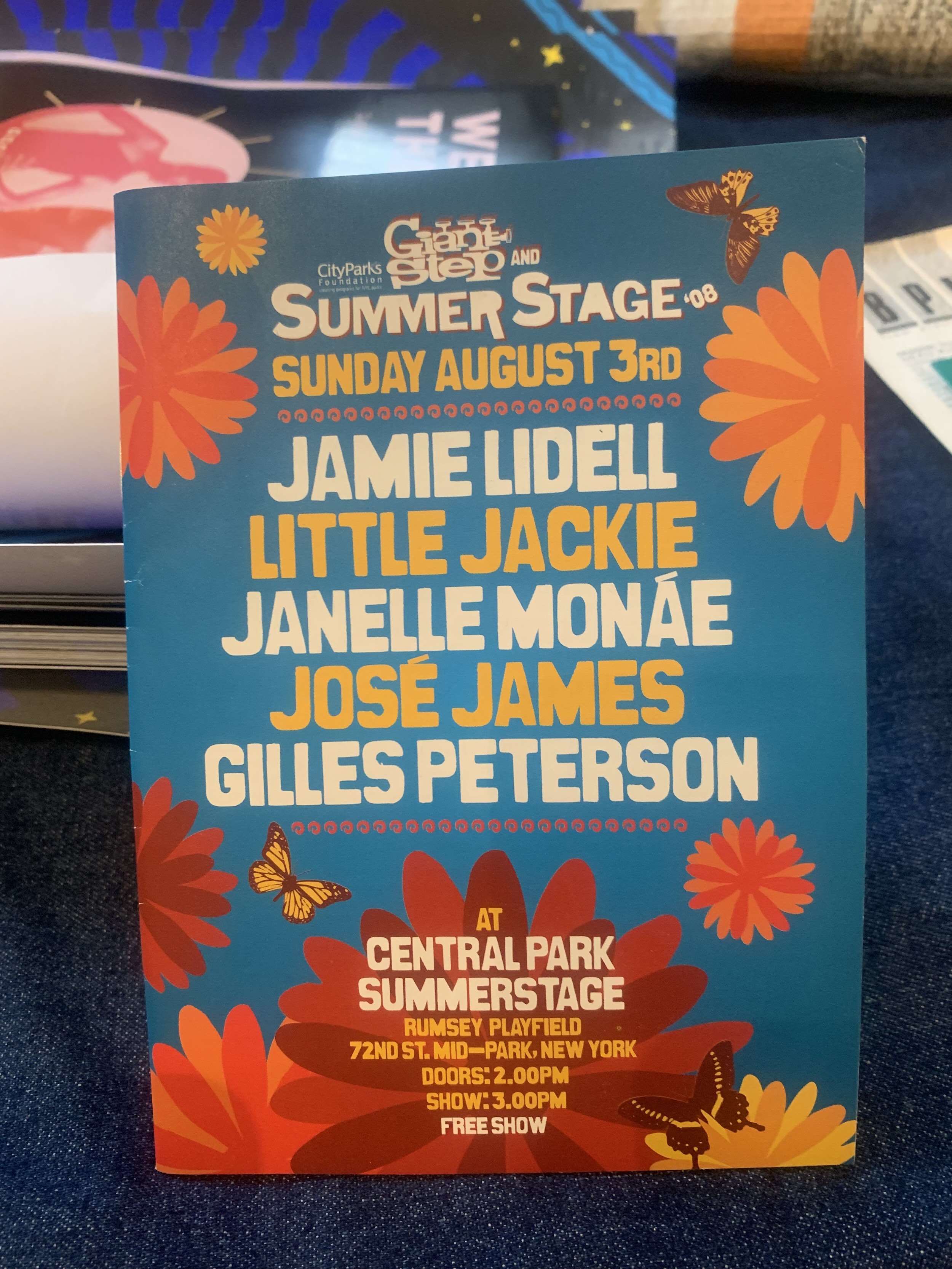 Summer Party in Central Park, NYC 